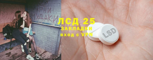 индика Алзамай
